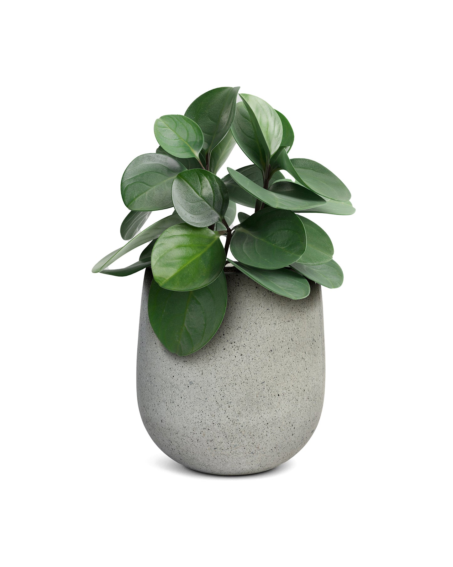 Raku Planter - Concrete Grey