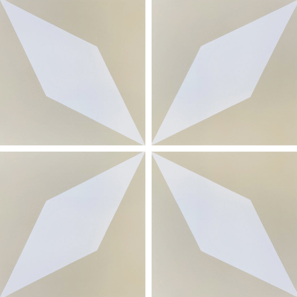 CT8 (S1.0 , S7218)