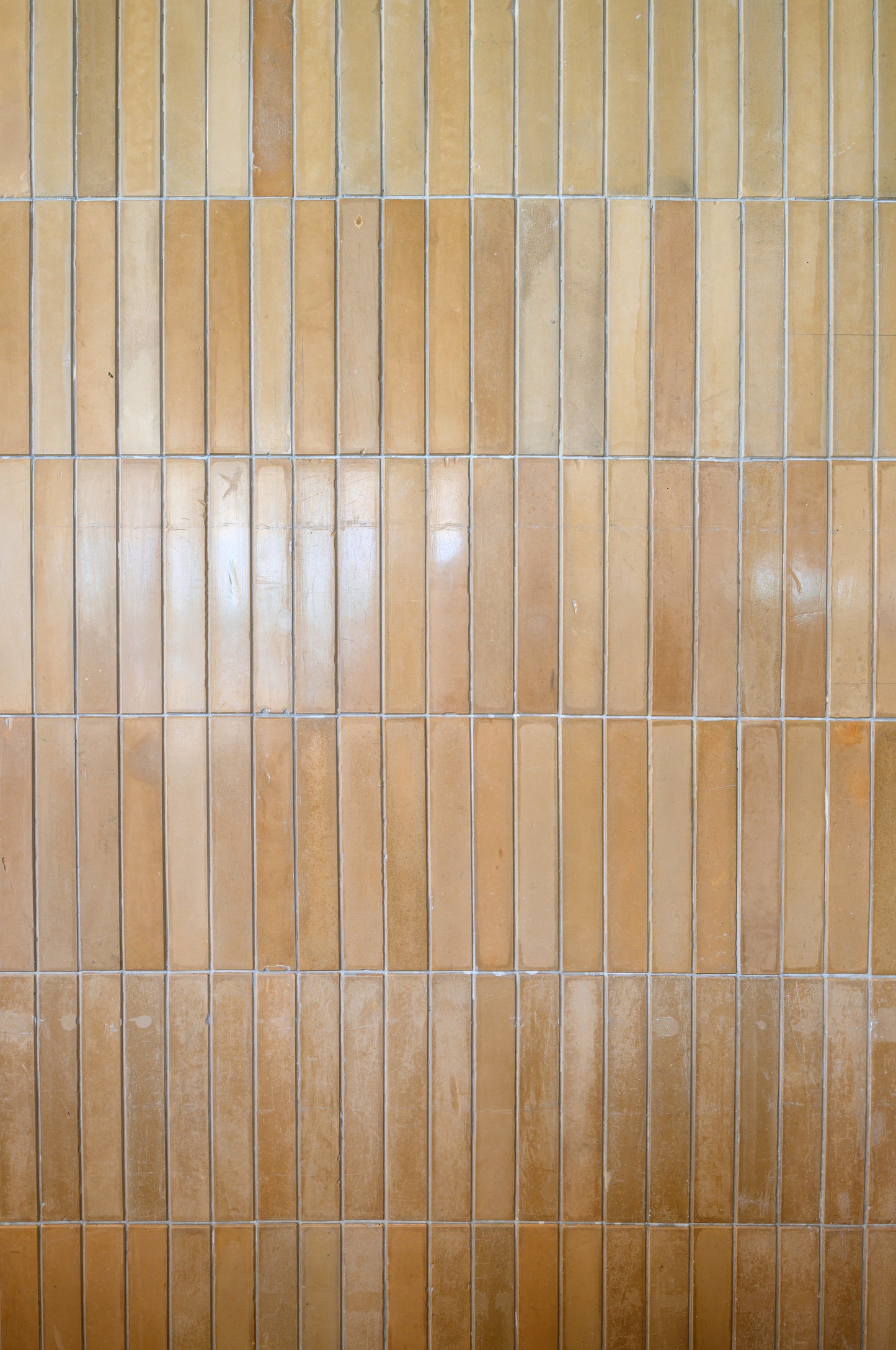 Bau Tile