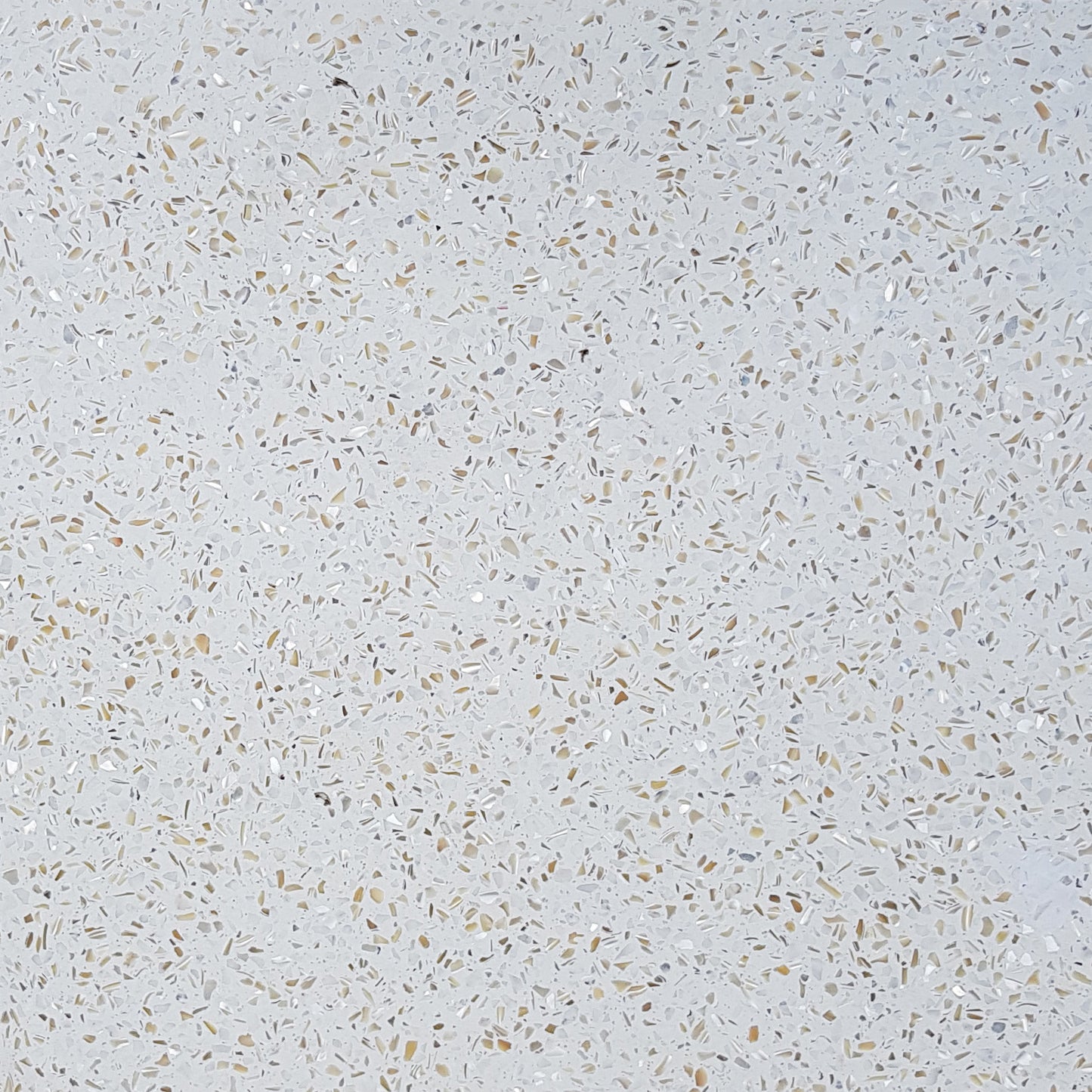 Terrazzo - TP1 - 01M