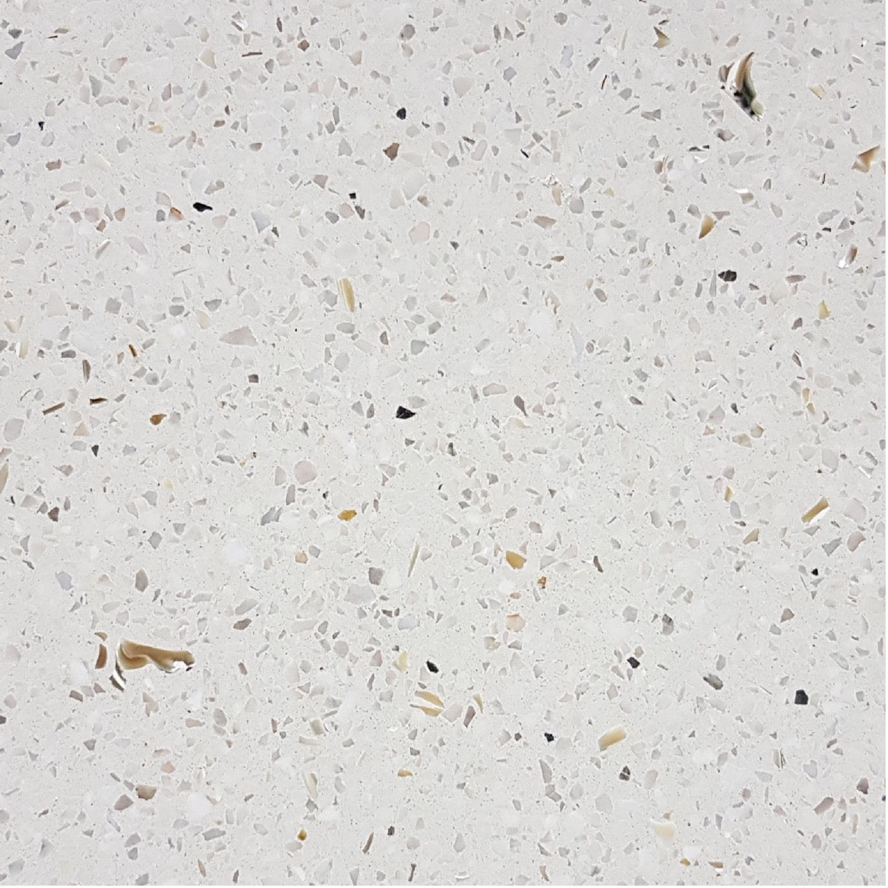 Terrazzo - TS1 - 08S