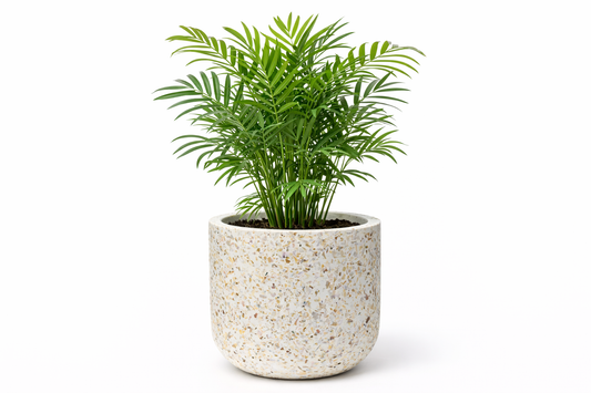 Cooper Terrazzo