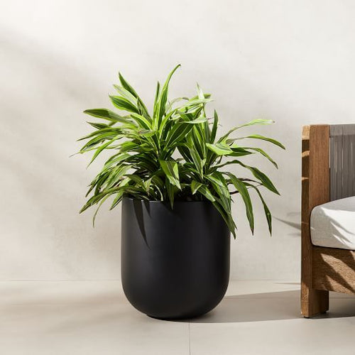 C Studio Planters