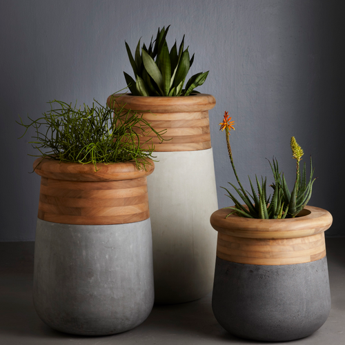 Indigenus Planters