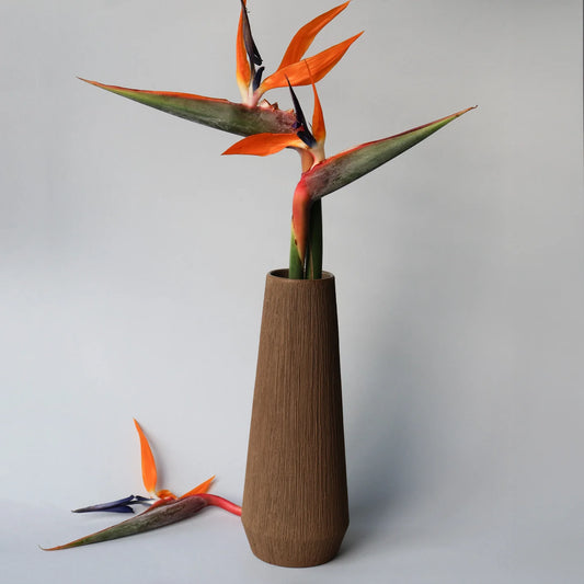 Restio Vase
