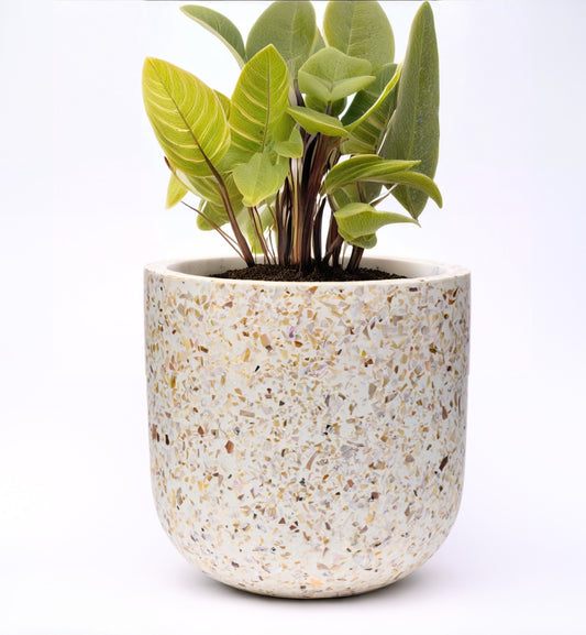 Cooper Terrazzo